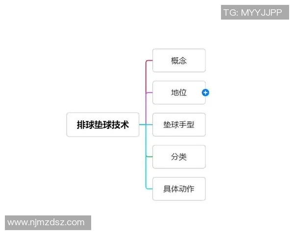 西安排球队战术解析与排球比赛策略深度剖析